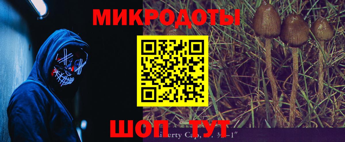 Псилоцибиновые грибы Cubensis  Вход с VPN  Великие Луки 